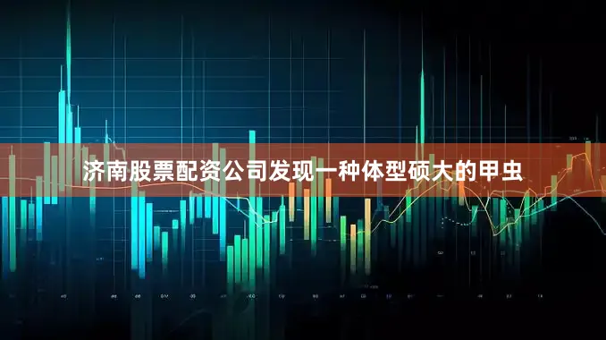 济南股票配资公司发现一种体型硕大的甲虫